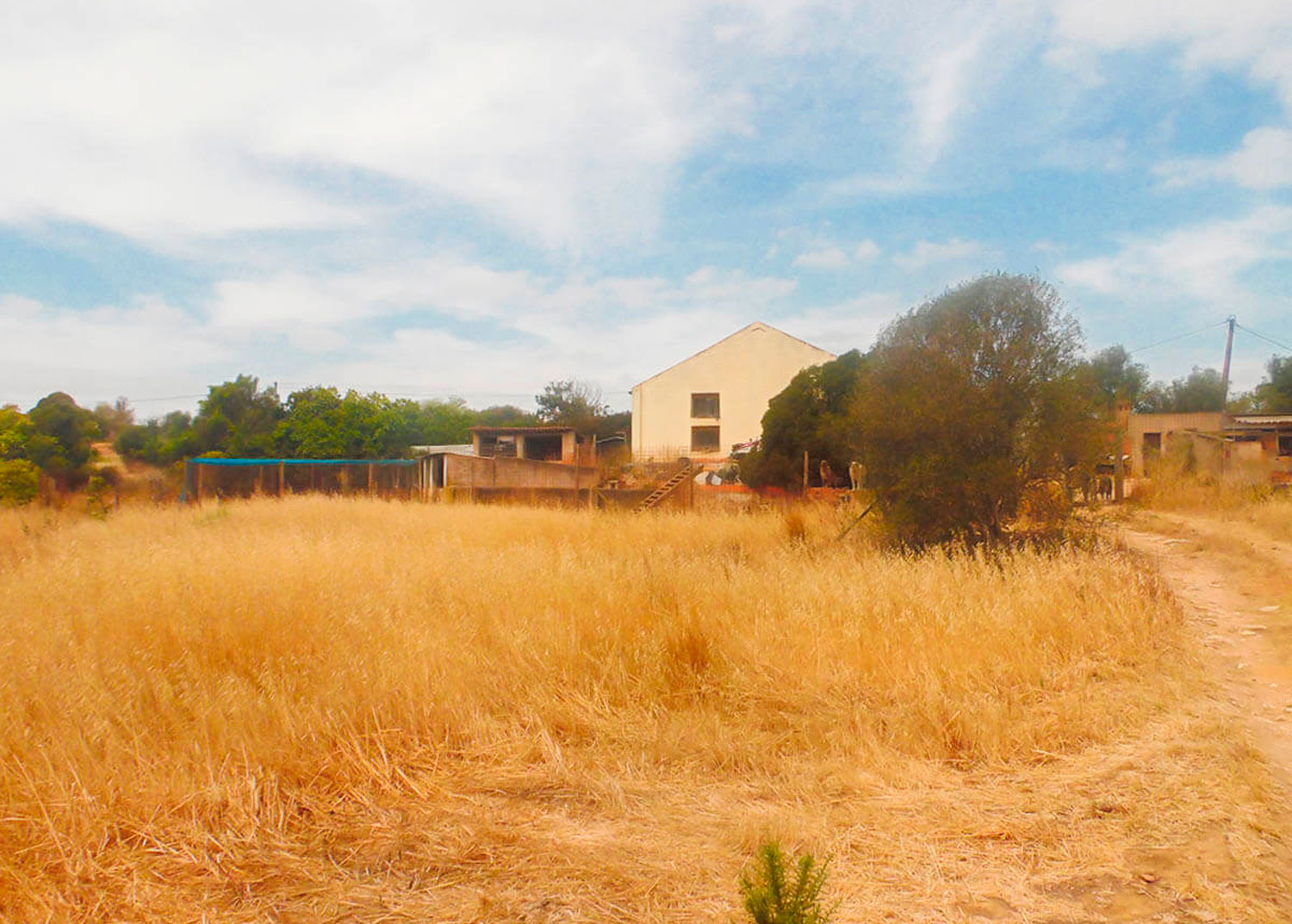 Quinta com 2 hectares na zona da Penina