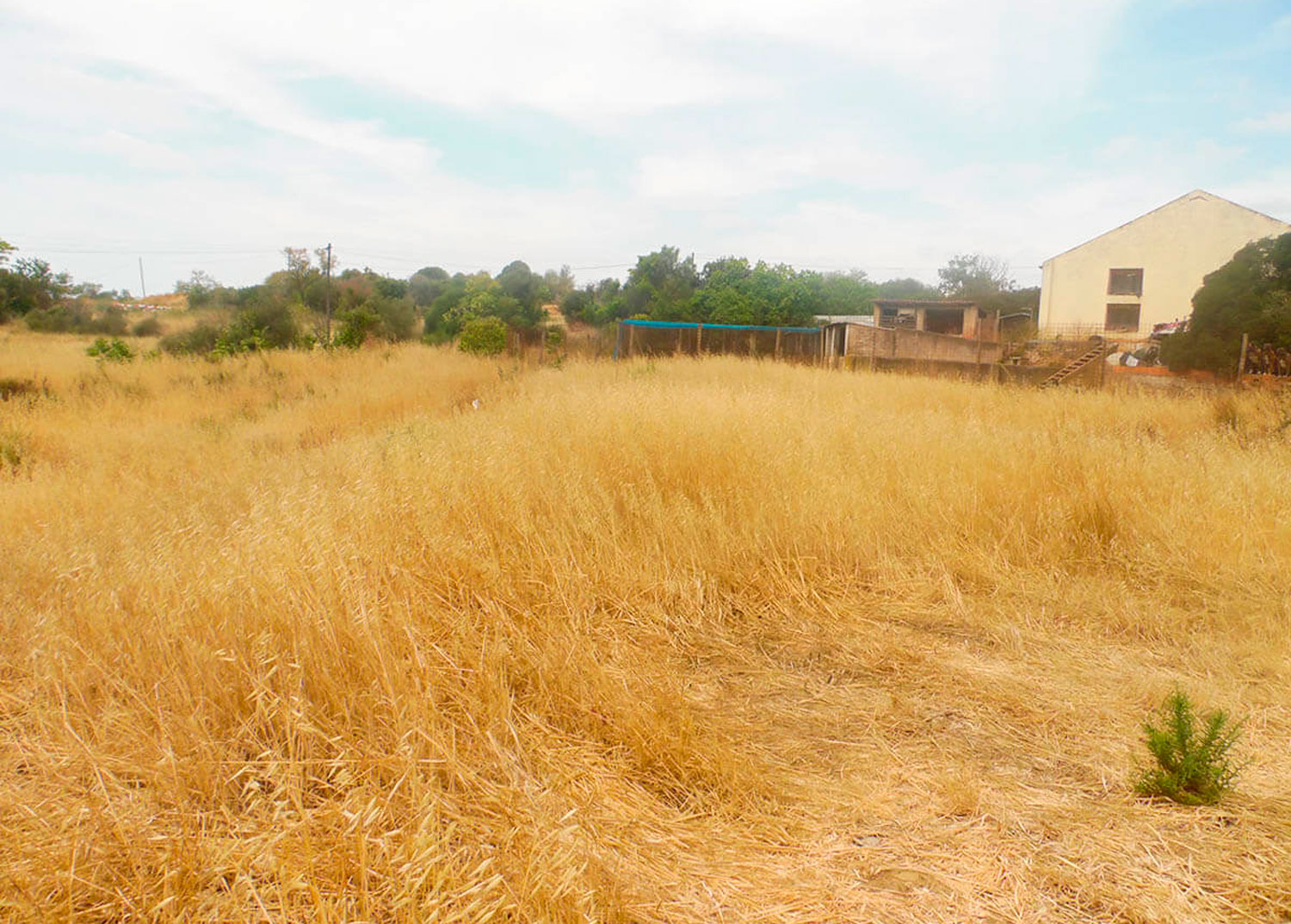 Quinta com 2 hectares na zona da Penina