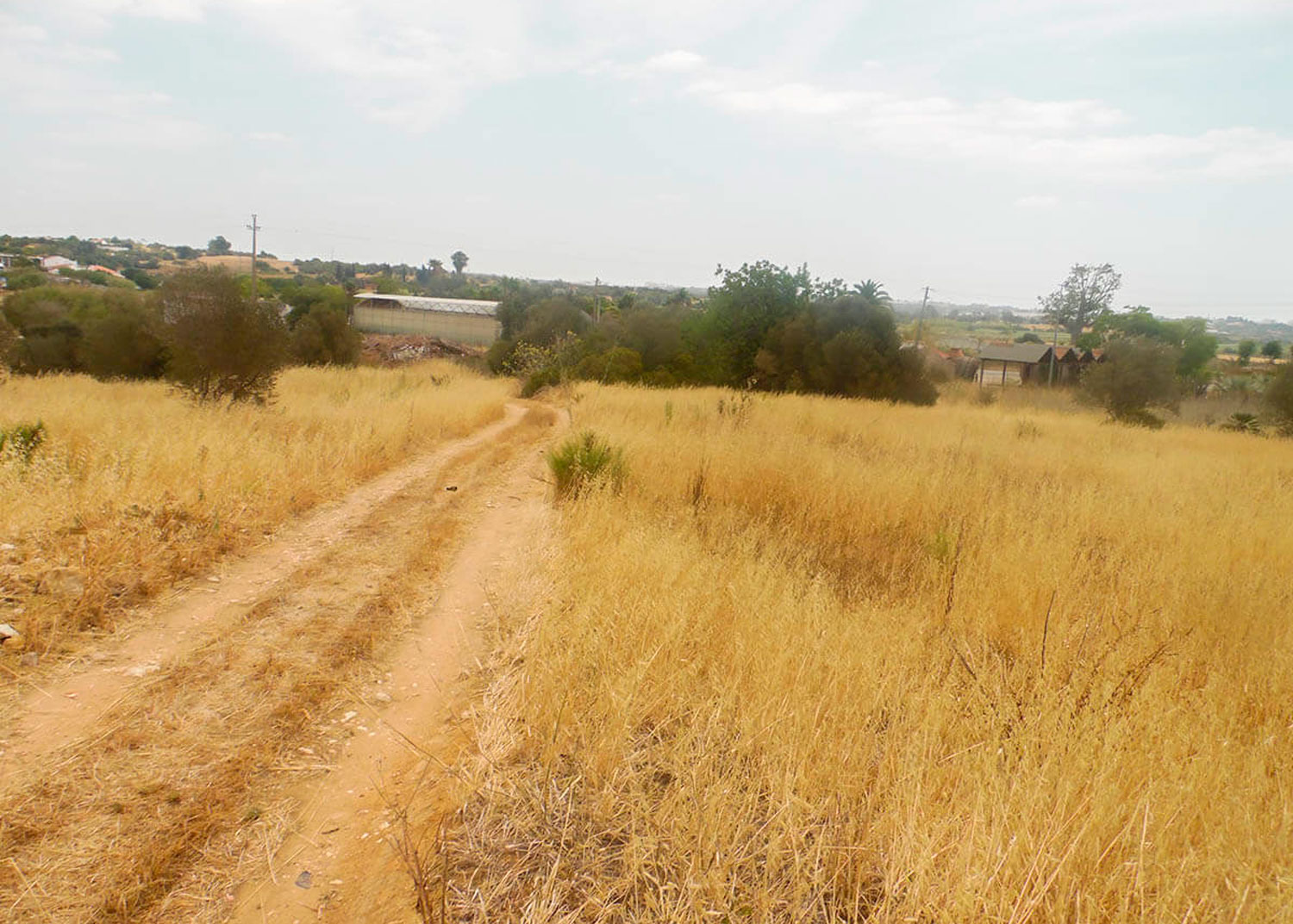 Quinta com 2 hectares na zona da Penina