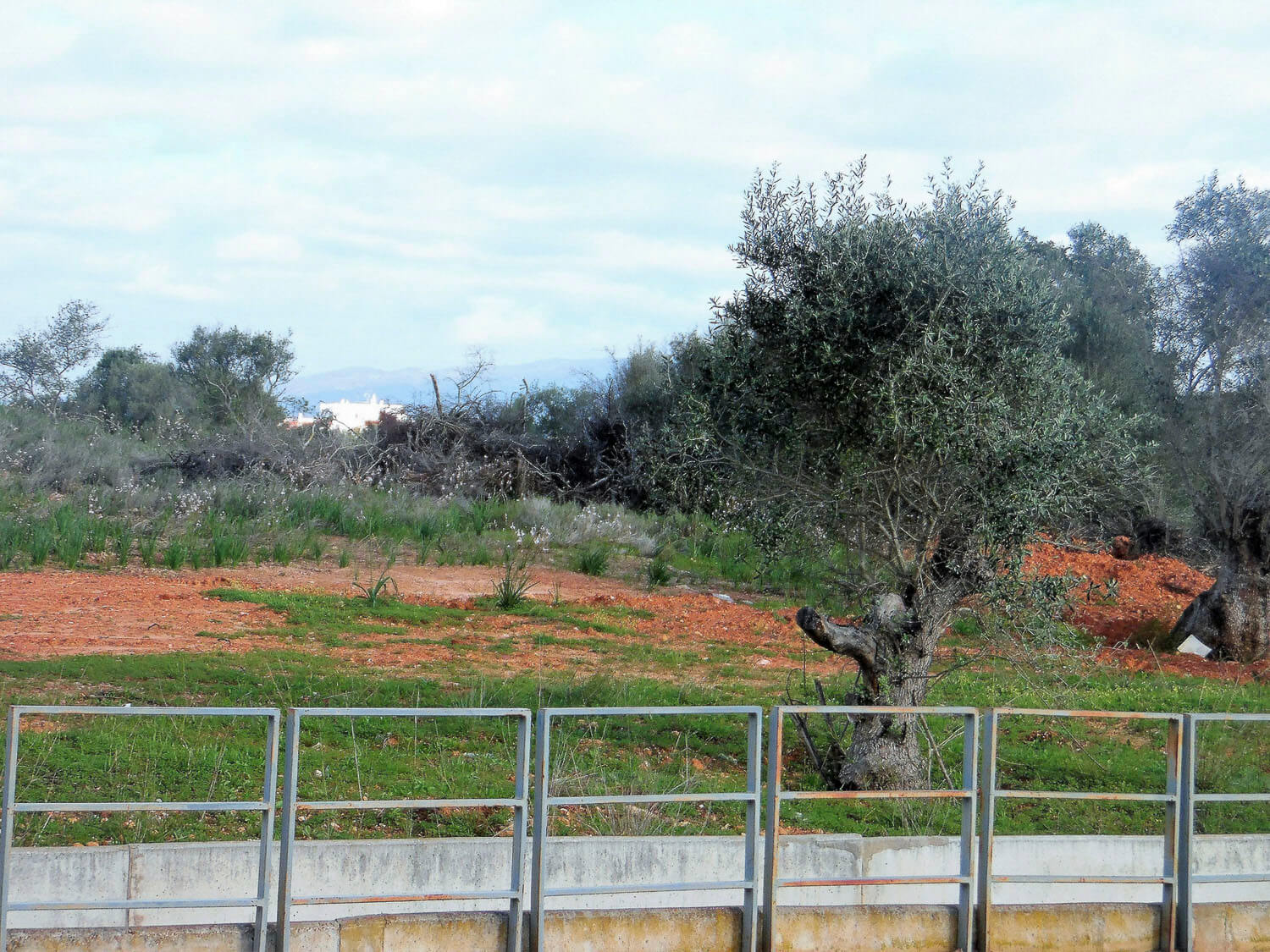 Terreno urbano para venda no Parchal